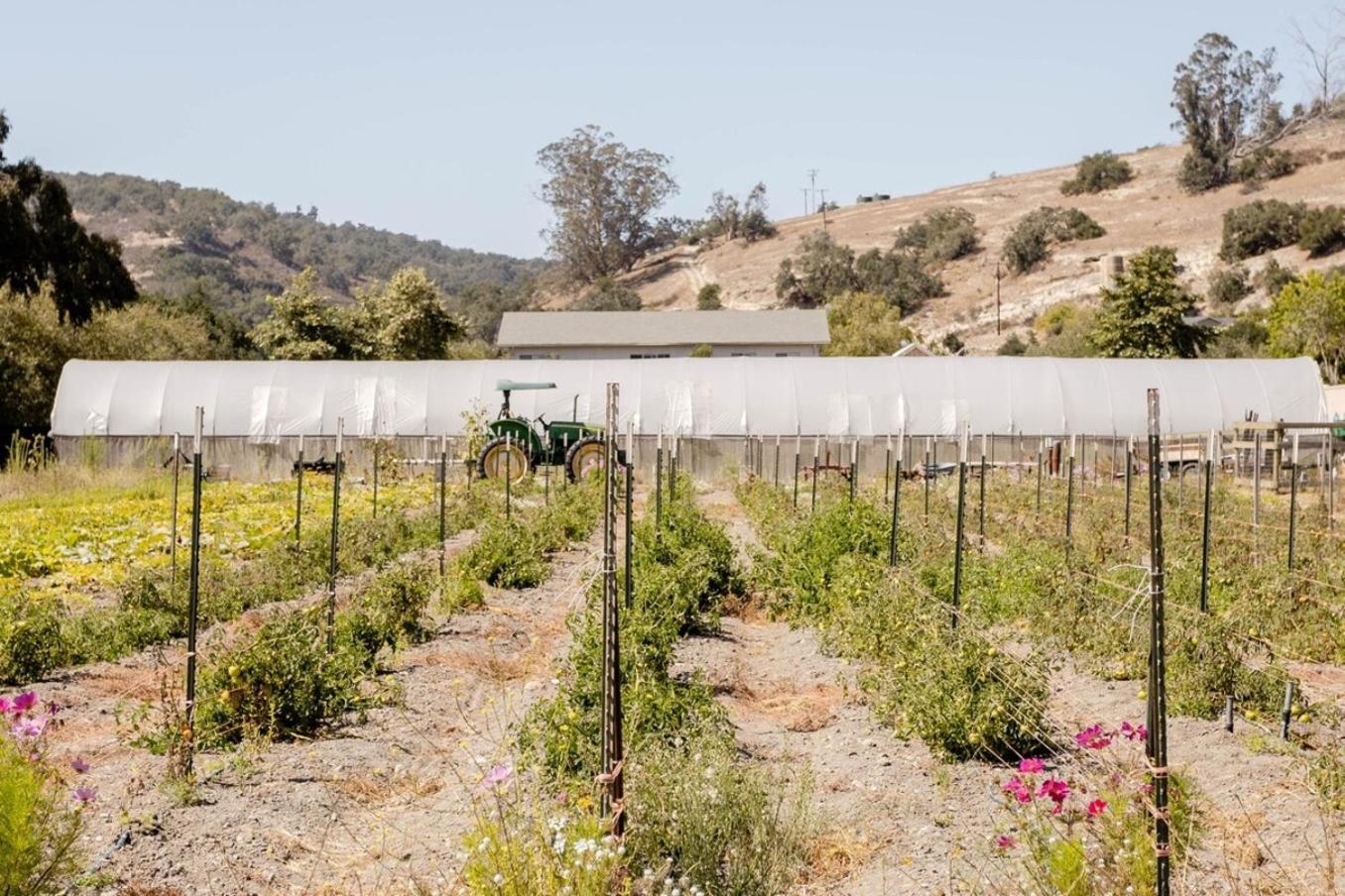 Wild Hair Studio-Stylish Farm Stay W Ev Charger Arroyo Grande Eksteriør billede